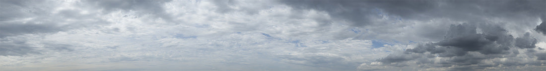 "Dichotomal," archival pigment print by Shawn Saumell