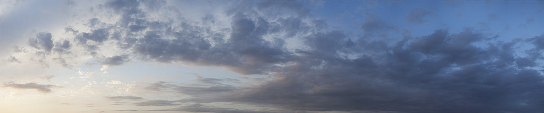 "Draco," archival pigment print by Shawn Saumell