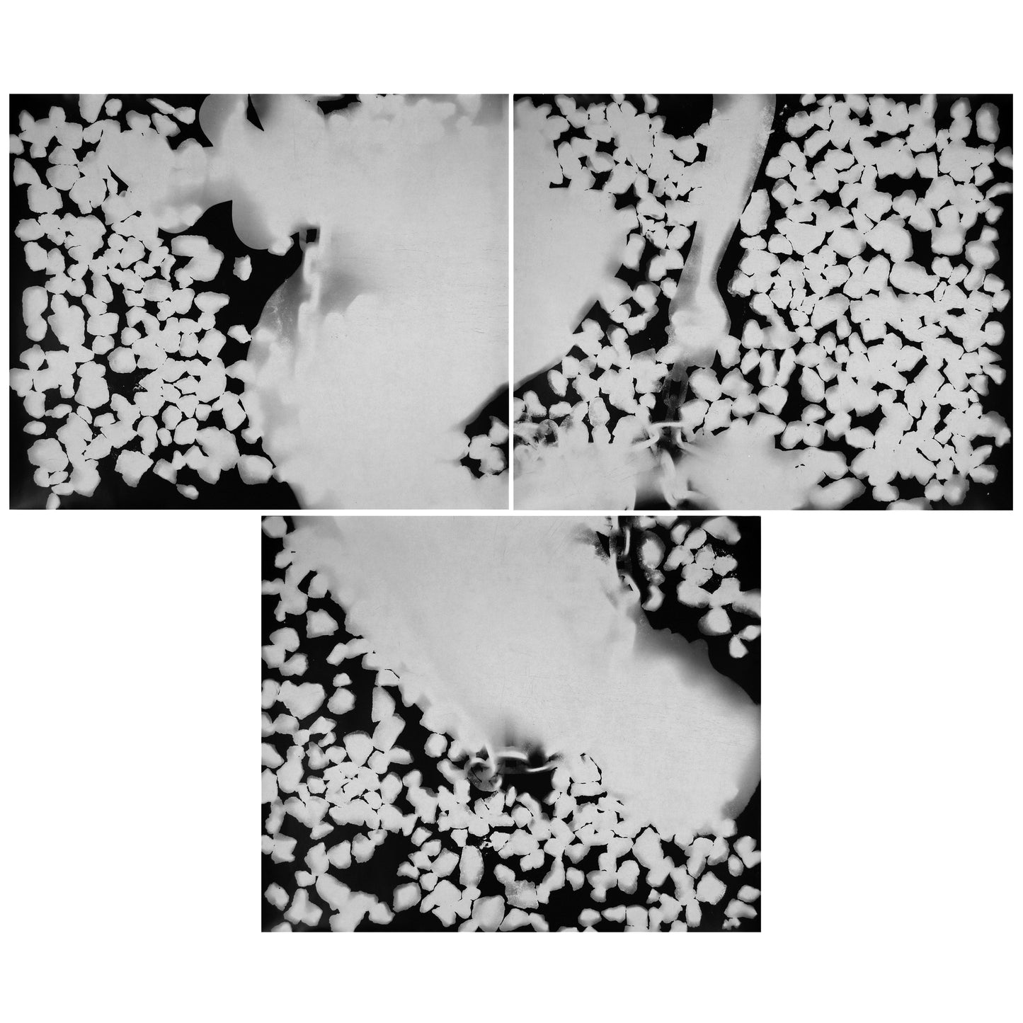 "Judgments pt1: Azazel's Bondage," silver gelatin photogram by Shawn Saumell