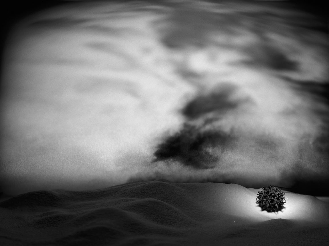 "Gruff" archival pigment print by Shawn Saumell