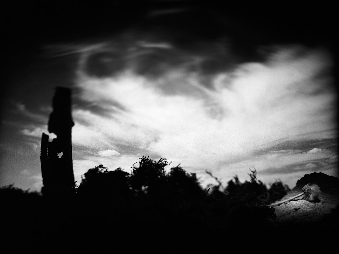 "Roost" archival pigment print by Shawn Saumell