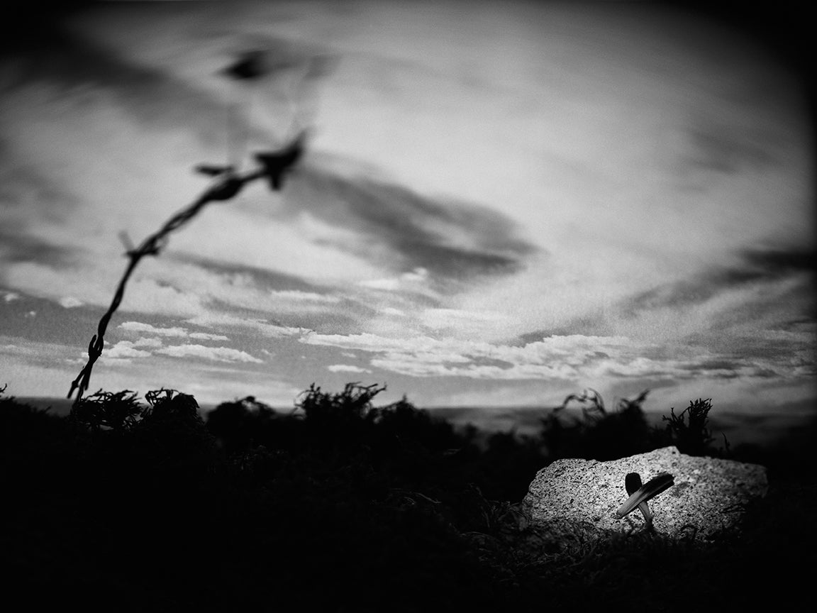 "Double-Crossed" archival pigment print by Shawn Saumell