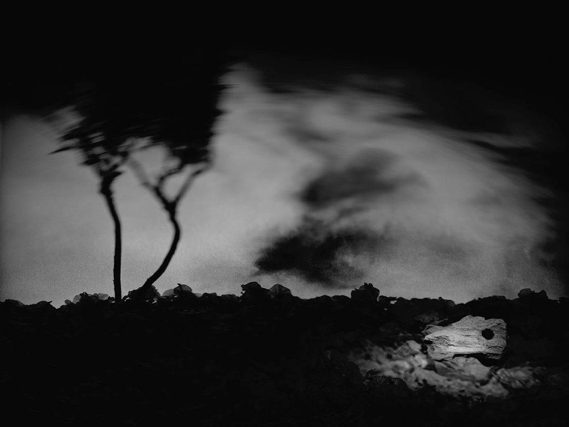 "Pac" archival pigment print by Shawn Saumell