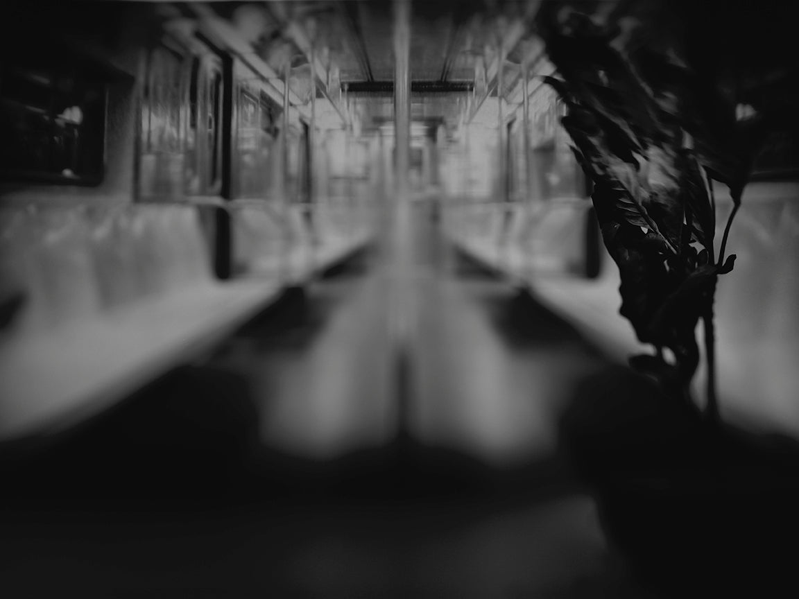 "Pass," archival pigment print by Shawn Saumell