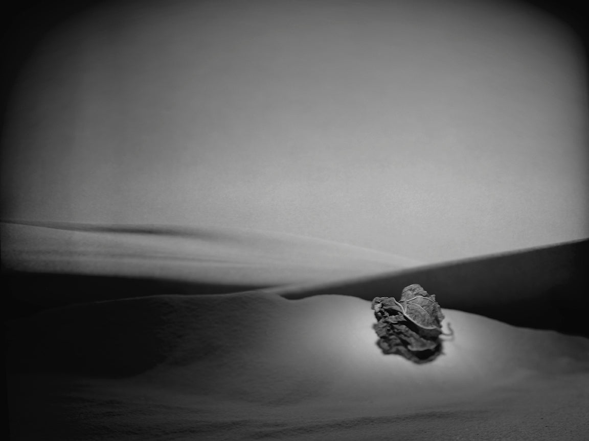 "Furrow," archival pigment print by Shawn Saumell
