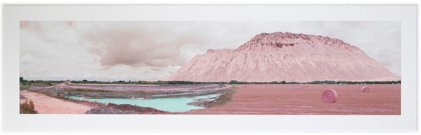"Can You Dig It? | Everything is Rosy" limited edition archival pigment print