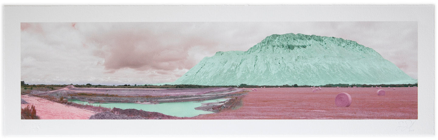 "Can You Dig It? | Foss For Us"unique archival pigment print