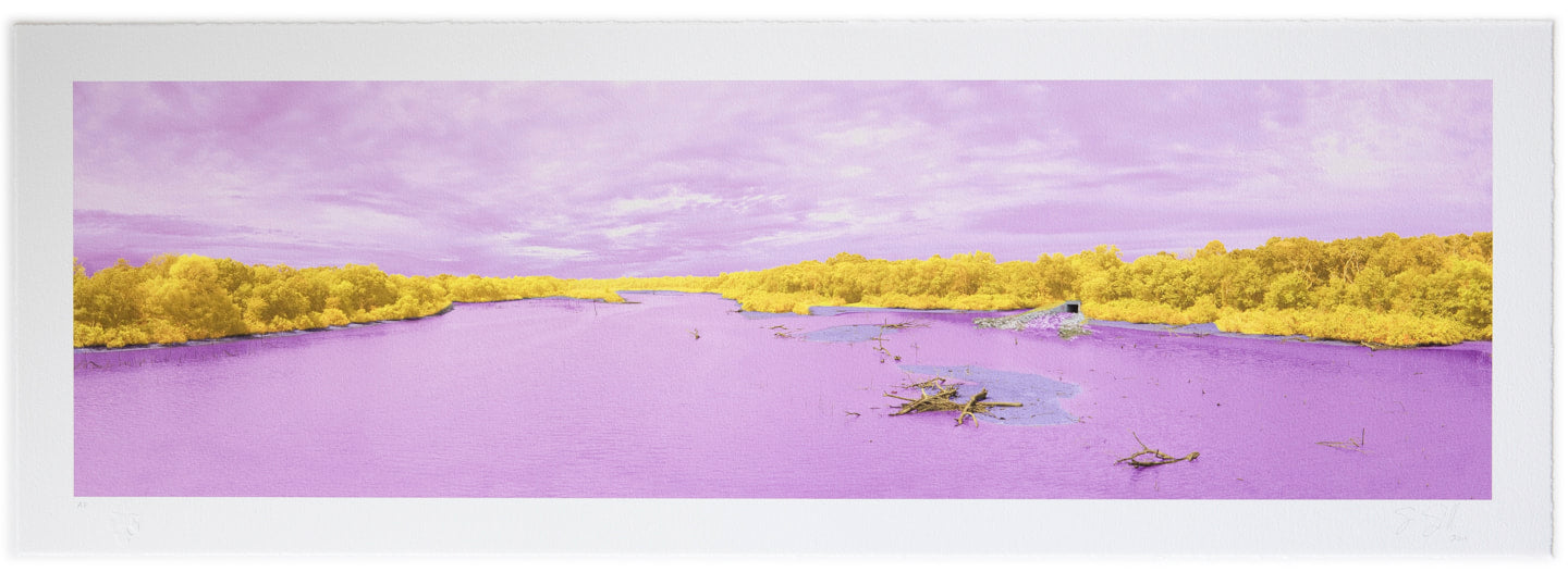 "Oh, The Places You'll Sew | Royally" unique archival pigment print