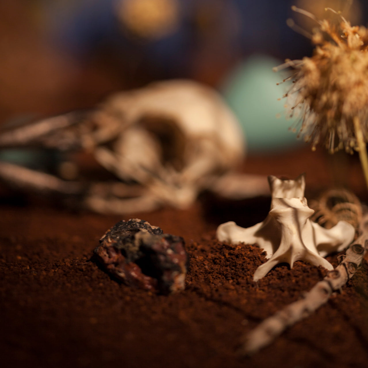 "What Remains," archival pigment on wood panel by Shawn Saumell