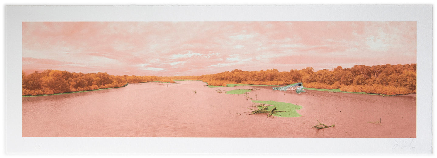 "Oh, The Places You'll Sew | Coppertone" unique archival pigment print
