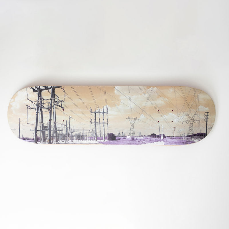 "Power to the People" archival pigment on skateboard deck